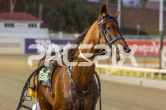 Como-El-Viento_17-02-2026_WIN_Cloucester-Park_6__12