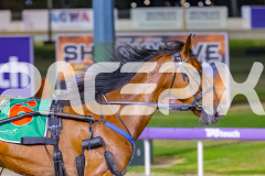 2025_PACEPIX_GP31122025_RACE6_CullenStar_WIN_WEB-10