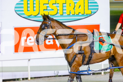 2025_PACEPIX_GP31122025_RACE6_CullenStar_WIN_WEB-14