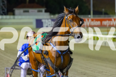 2025_PACEPIX_GP31122025_RACE6_CullenStar_WIN_WEB-17