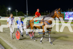2025_PACEPIX_GP31122025_RACE6_CullenStar_WIN_WEB-19