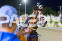 2025_PACEPIX_GP26122025_RACE6_DameValour_WIN_WEB-9