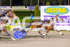 2025_PACEPIX_GP29082025_RACE6_Damour_WIN_WEB-5