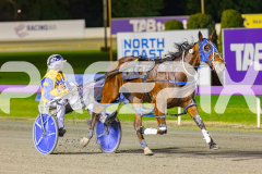 2025_PACEPIX_GP29082025_RACE6_Damour_WIN_WEB-7