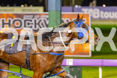 2025_PACEPIX_GP29082025_RACE6_Damour_WIN_WEB-8
