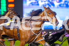 2025_PACEPIX_GP11072025_Race6_Dawson_WIN_WEB-12