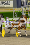 2025_PACEPIX_GP11072025_Race6_Dawson_WIN_WEB-15
