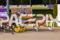 2025_PACEPIX_GP11072025_Race6_Dawson_WIN_WEB-19