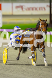 2025_PACEPIX_GP11072025_Race6_Dawson_WIN_WEB-21