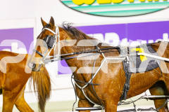 2025_PACEPIX_GP11072025_Race6_Dawson_WIN_WEB-28