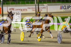2025_PACEPIX_GP11072025_Race6_Dawson_WIN_WEB-3