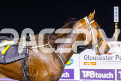 2025_PACEPIX_GP11072025_Race6_Dawson_WIN_WEB-32