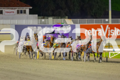 2025_PACEPIX_GP11072025_Race6_Dawson_WIN_WEB-5