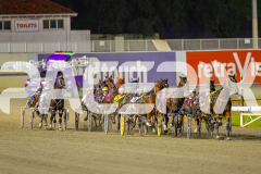 2025_PACEPIX_GP11072025_Race6_Dawson_WIN_WEB-7