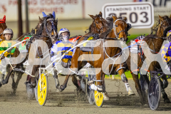 2025_PACEPIX_GP11072025_Race6_Dawson_WIN_WEB-8