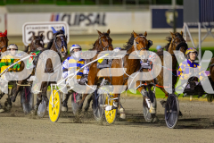 2025_PACEPIX_GP11072025_Race6_Dawson_WIN_WEB-9