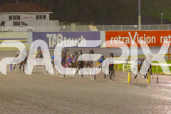 2025_PACEPIX_GP17062025_Race6_Dawson_WIN_WEB_S_-13