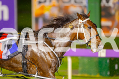 2025_PACEPIX_GP17062025_Race6_Dawson_WIN_WEB_S_-21