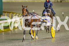 2025_PACEPIX_GP17062025_Race6_Dawson_WIN_WEB_S_-22
