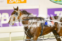 2025_PACEPIX_GP17062025_Race6_Dawson_WIN_WEB_S_-25