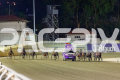 2026_PACEPIX_GP17032026_Race6_DelightfulPeg_WIN_WEB-1