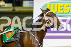 2026_PACEPIX_GP17032026_Race6_DelightfulPeg_WIN_WEB-16