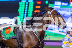 2026_PACEPIX_GP17032026_Race6_DelightfulPeg_WIN_WEB-4