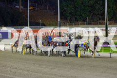 2026_PACEPIX_GP17032026_Race6_DelightfulPeg_WIN_WEB-5