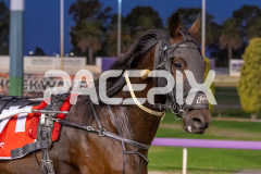 RACE 6 - Dougs Legacy