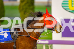2025_PACEPIX_GP21072025_Race6_Dreambigaimhigh_WIN_WEB-10