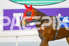2025_PACEPIX_GP21072025_Race6_Dreambigaimhigh_WIN_WEB-12