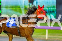 2025_PACEPIX_GP21072025_Race6_Dreambigaimhigh_WIN_WEB-9