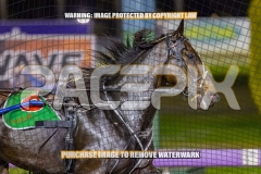 2026_PACEPIX_GP06102026_Race6_Dunkalledy_WIN_WEB-4
