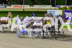 RACE 6 - Eastern Quality