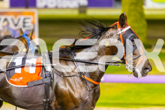 2025_PACEPIX_GP21112025_RACE6_Era_WIN_WEB-10