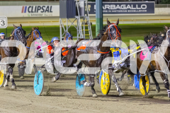 2025_PACEPIX_GP21112025_RACE6_Era_WIN_WEB-4