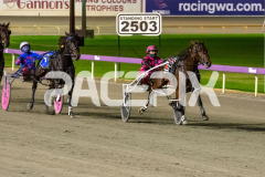 Fabulous-Dream_01-05-2026_WIN_Gloucester-Park_6__01