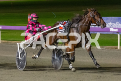 Fabulous-Dream_01-05-2026_WIN_Gloucester-Park_6__03