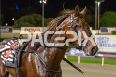 Fabulous-Dream_01-05-2026_WIN_Gloucester-Park_6__14