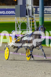 1_2026_PACEPIX_GP27032026_RACE6FrancoMotu_WIN_WEB-25