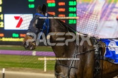 Franco-Motu_25-09-2026_WIN_Gloucester-Park_6__06