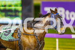 2025_PACEPIX_GP15072025_Race6_FrancoMotu_WIN_WEB-13