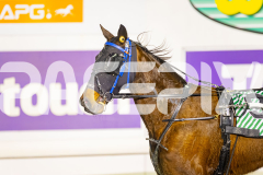 2025_PACEPIX_GP15072025_Race6_FrancoMotu_WIN_WEB-15