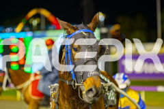 2025_PACEPIX_GP15072025_Race6_FrancoMotu_WIN_WEB-18