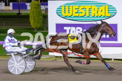 Galvinston-John_16-06-2026_WIN_Gloucester-Park_6__02
