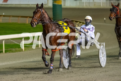 Galvinston-John_16-06-2026_WIN_Gloucester-Park_6__09