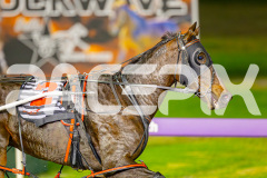 2025_PACEPIX_GP06052025_RACE6_GeeSmith_WIN_WEB-18