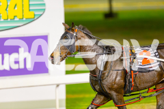 2025_PACEPIX_GP06052025_RACE6_GeeSmith_WIN_WEB-23