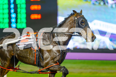 2025_PACEPIX_GP06052025_RACE6_GeeSmith_WIN_WEB-7