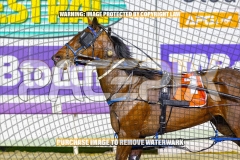 2026_PACEPIX_GP22092026_RACE6_GraceElla_WIN_WEB-13